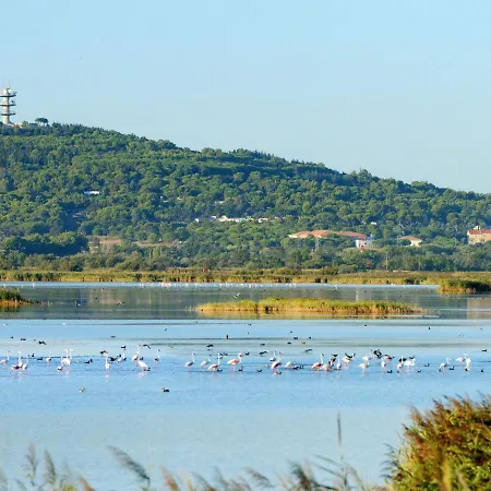 شقة Plein Soleil-1 By Interhome